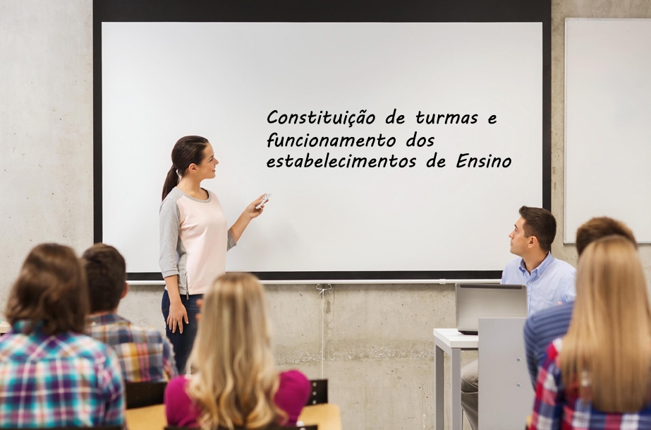 Constituição de turmas e funcionamento dos estabelecimentos de Ensino